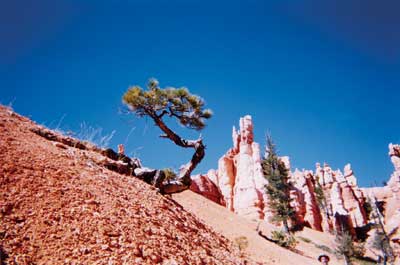 Bryce Canyon